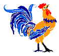 The Rooster Net